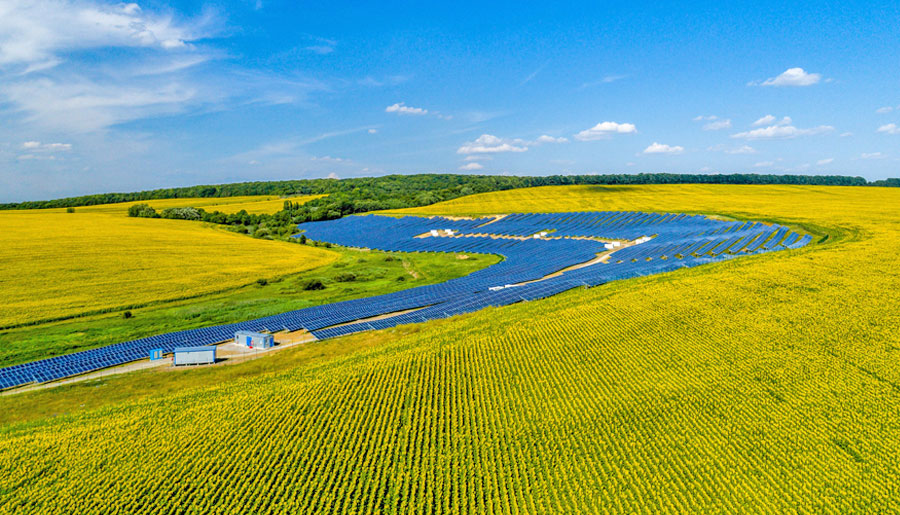 Tongwei Solar Panel Review: The Vertical Integration Giant